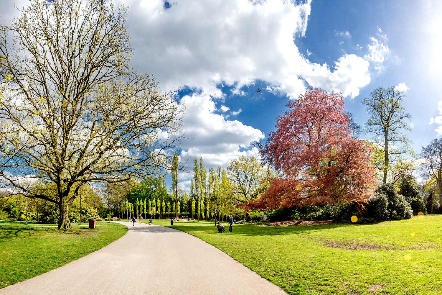 Springtime in South London