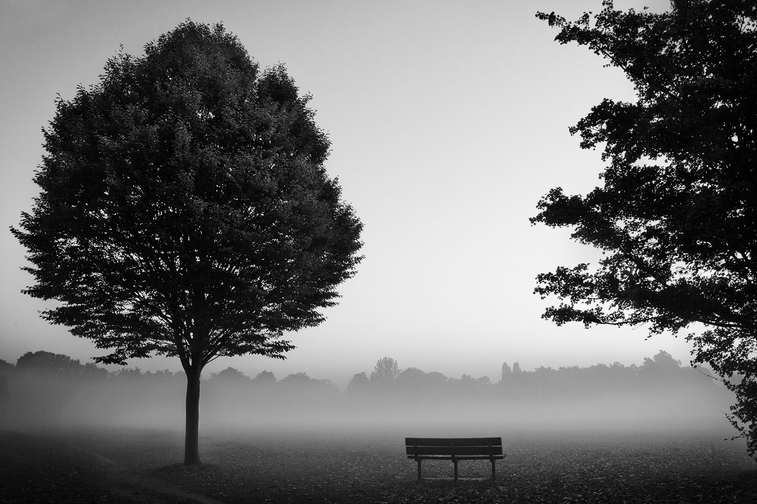 Misty morning on Wandsworth Common