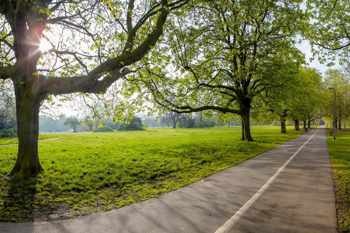 Tooting Common